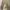 Carhartt carpenter long pants work photo 4