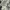 LOOSE FIT HEAVYWEIGHT SHORT-SLEEVE POCKET HENLEY T-SHIRT photo 5