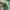 (M/L) Celtic Home Kit 2013 Jersey Football Team t-shirt Kaos photo 3