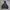 zip hoodie dickies photo 1
