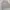 Nautica Vintage Casual Denim jacket Pria gray cream photo 2
