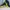 Sepatu Olahraga Lari Pria Nike Air Zoom Alphafly 3  photo 2
