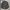 PARKAS JACKET by THE COUPLE photo 1