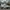 Adidas Sportswear Sneakers Wanita white photo 3