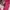 Vintage Casual Mini skirt Wanita pink photo 3