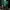 Nike Sportswear Jersey Pria green white photo 1