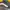 Vans sk8 photo 6