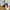Adidas Sportswear Casual Sneakers Pria White Cream