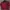 INERJACKET OUTDOR THE NORTH FACE  photo 4
