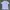🇺🇸Vintage 98' Tultex Rocky Mountain Tee
