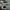 Nike Sportswear Casual Sneakers Pria white photo 6