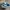 PUMA XL Suede Blue White photo 1
