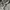 Nike ACG Short photo 7