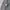 Nike ACG Short photo 4