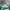 PUMA XL Green  photo 1