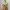 Sequin Tiered Sheer Top Vintage Coquette Y2K photo 3