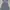 Dress Vintage