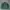 2000's Heavyweight Forest Green Sweatshirt Boxy photo 1