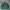 2000's Heavyweight Forest Green Sweatshirt Boxy