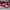 Nike Court Red Casual secound photo 2