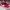 Nike Court Red Casual secound photo 1