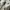 sneakers nb530 white photo 2