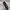 Handbag Leather by 'Hush Puppies' photo 5