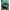 Nike big swoosh colourblock three tone( fashion/fake) photo 2