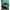 Nike Big Swoosh Colourblock Three Tone( Fashion/fake)