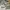 Nike Air Jordan 1 Retro High OG (GS) Turbo Green photo 7