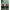 NFL colourblock team Apparel jacket photo 1