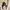 jaket kulit curved crop wanita/laki-laki photo 1