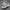 Nb 990 v6 loro piana photo 5