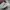 NB 992 X PAPERBOY PARIS FRIED EGG  photo 4