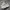 NB 992 X PAPERBOY PARIS FRIED EGG  photo 5