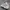 NB 992 X PAPERBOY PARIS FRIED EGG  photo 1