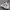 NB 992 X PAPERBOY PARIS FRIED EGG 