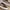 Vans Sk8 Low photo 2