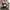 Vans Sk8 Low photo 7