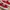 Vans Authentic Red