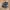 Salomon XT Goretex