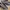 Salomon XT Goretex photo 2