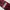 VINTAGE TIE'S CERRUTI 1881 PARIS MADE IN ITALY photo 5