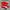 PUMA Speedcat Red photo 1
