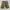 J Vintage Y2K Short pants Army photo 1