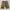 Japanese Brand Vintage Y2K Short Pria Green Khaki