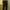Sensible Inspiration Sheer Perfection Men's Basic Navy Pants