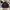 Windbreaker Slazenger Big Logo photo 2