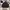 Windbreaker Slazenger Big Logo photo 1