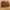 Whoau beruang warna coklat pekat photo 1